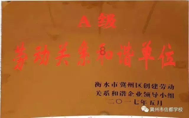 猫猫冒险团